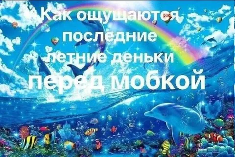Последние летние деньки перед Мобкой