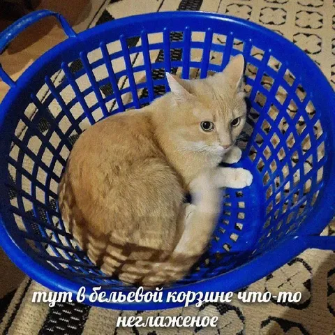 Что-то нелаженое в корзине