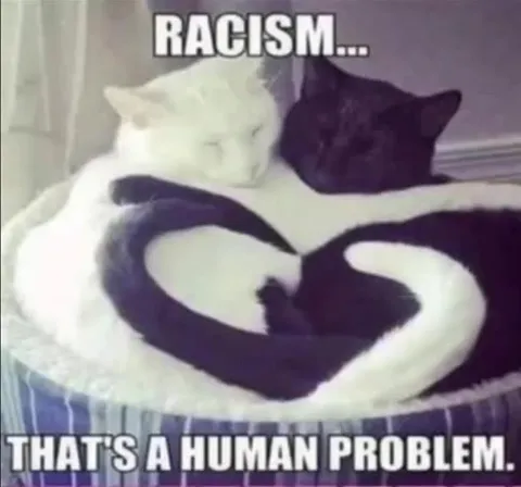Racism Is a Human Problem