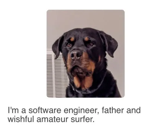 Software Engineer Father Surfer