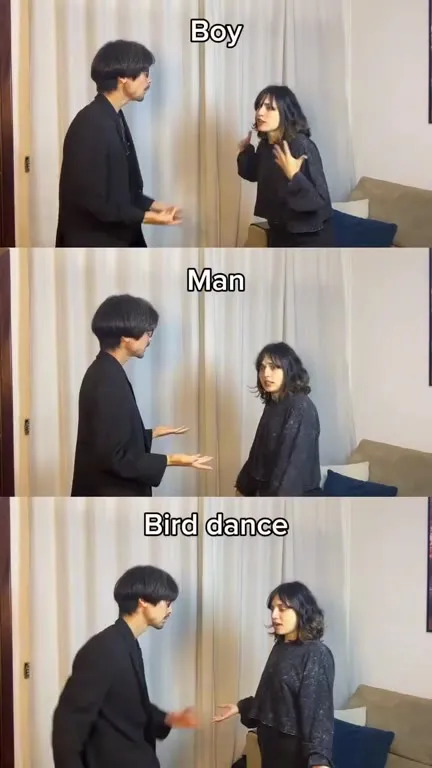 Boy Man Bird Dance Comparison