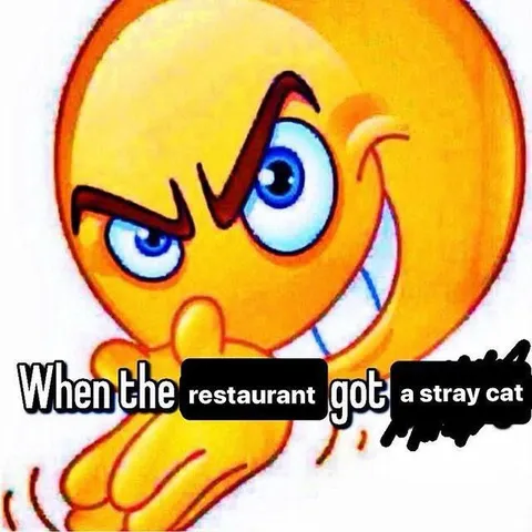 When He Got a Stray Cat