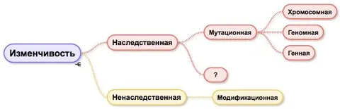 Схема типов изменчивости