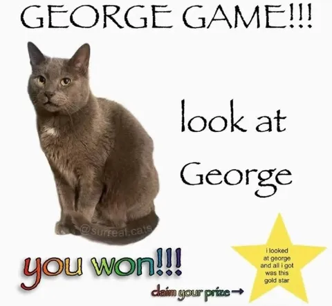 George Game You Won