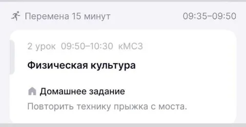 Домашка по физкультуре