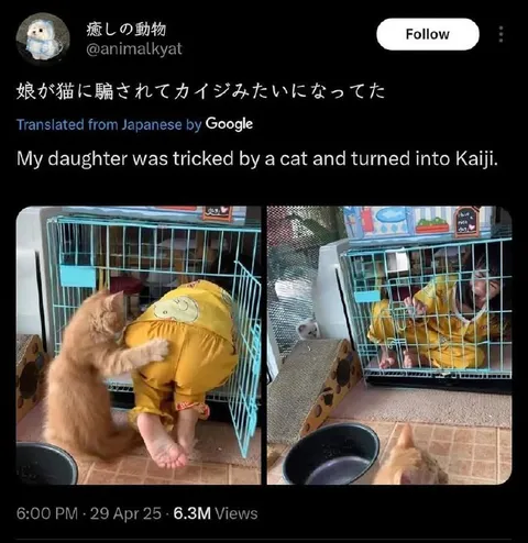 Кошка превратила дочь в Кайджи