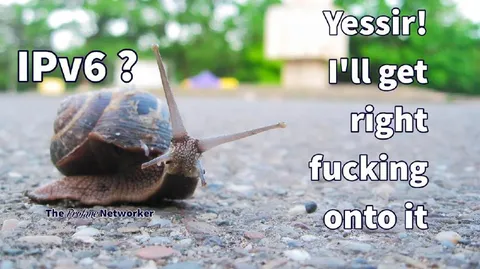 Snail Gets IPv6