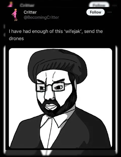 Wifejak Send the Drones