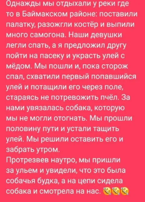 Украли собачью будку вместо улья