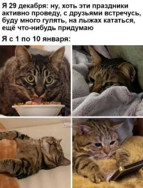 Планы на праздники и реальность