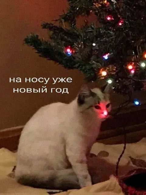 На носу уже Новый год