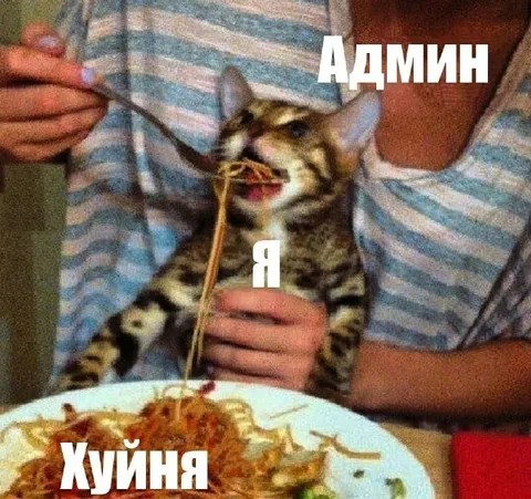 Админ кормит хуйной