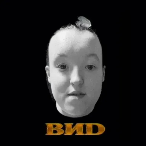 Серьёзный взгляд ВУД