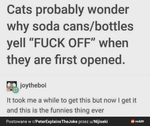 Cats Hear Soda Cans Yell