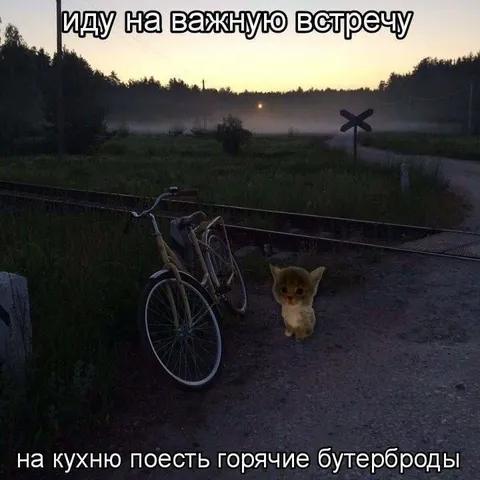 Важная встреча на кухне