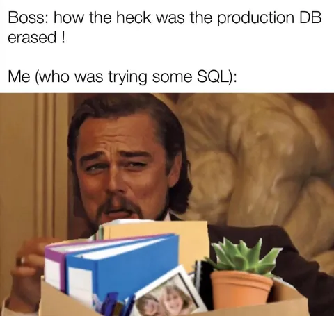 Accidentally Erased Production Database
