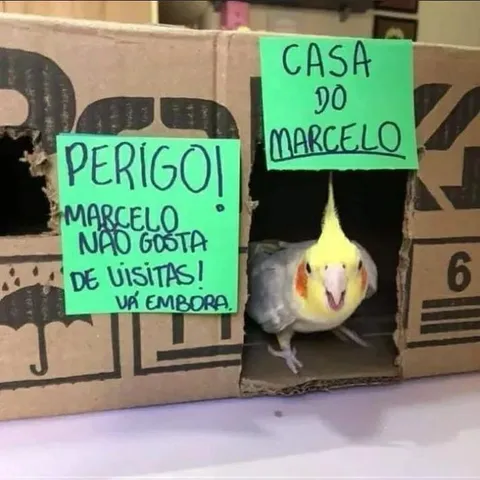 Perigo: Marcelo não gosta de visitas