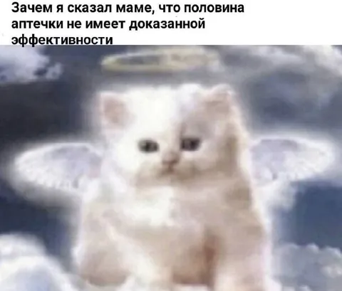Кот узнал правду о лекарствах