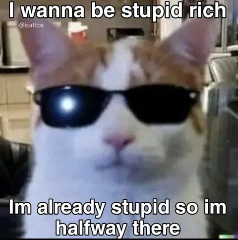 Stupid Rich Cat