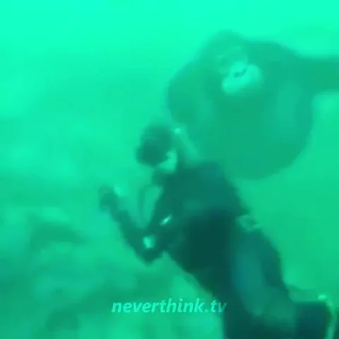 Танец под водой