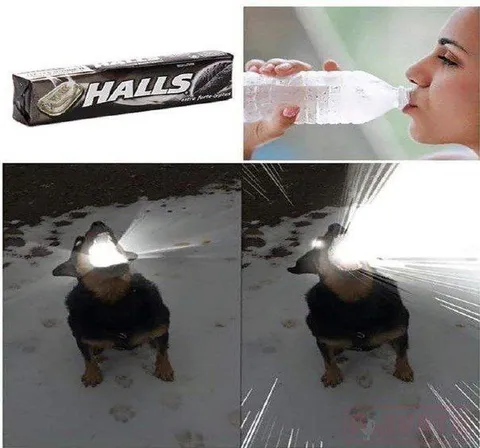 Halls Turns Dog Into a Superhero