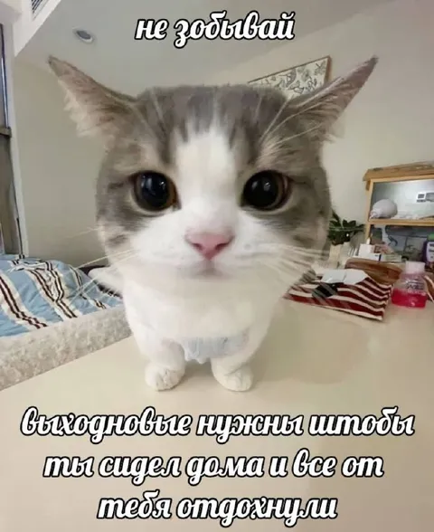 Выходные, чтобы все отдохнули