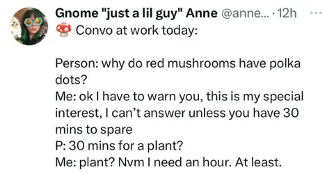 Thirty Minutes for a Plant