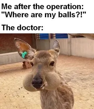 Where Are My Balls?