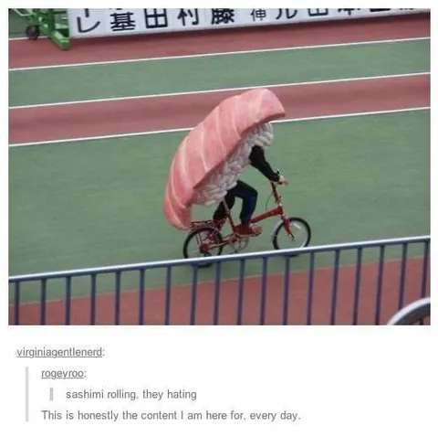 Sashimi Rolling on a Bicycle
