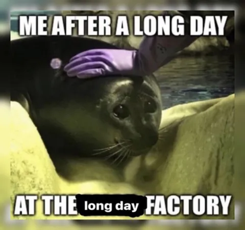 Seal After a Long Day