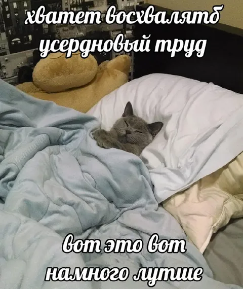 Кот отдыхает после труда