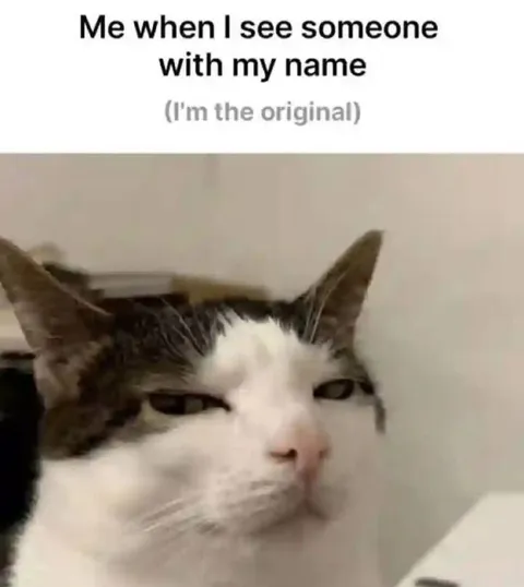 Original Name Suspicion Cat