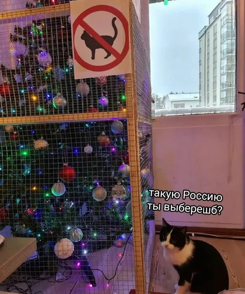 Такую Россию ты выберешь?