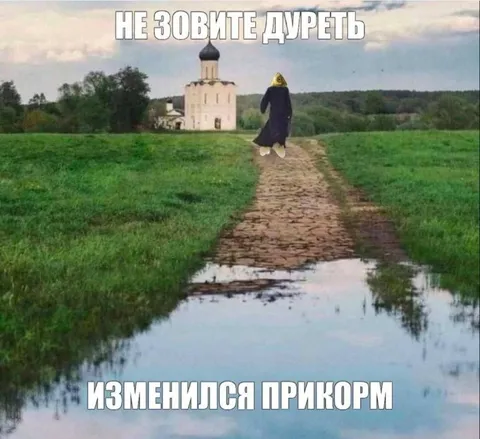 Рыба изменилась прикормом