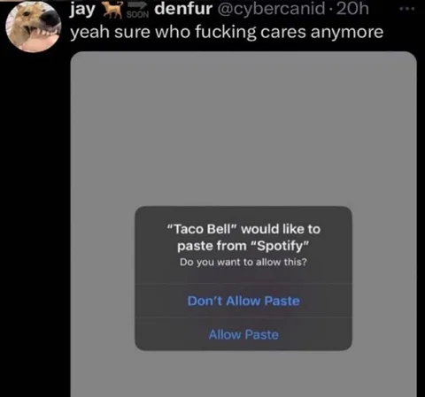 Taco Bell Paste Permission