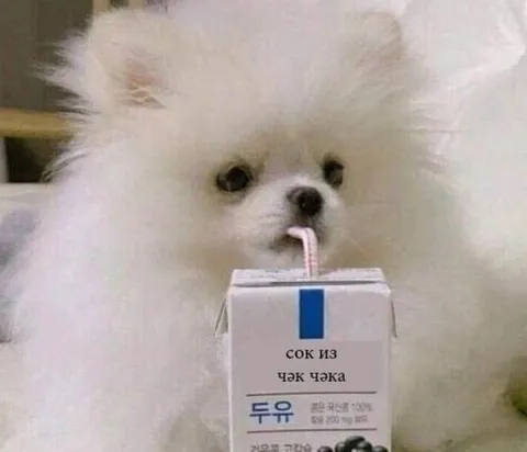 Сок из чэк чэка