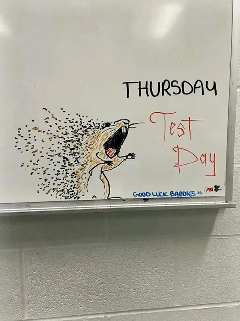Thursday Test Day Hedgehog