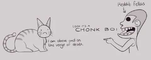 Obese Cat on the Verge of Death