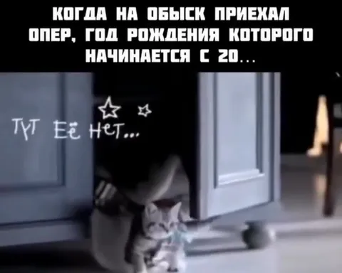 Обыск у кота-ровесника