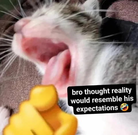 Reality Fails Expectations
