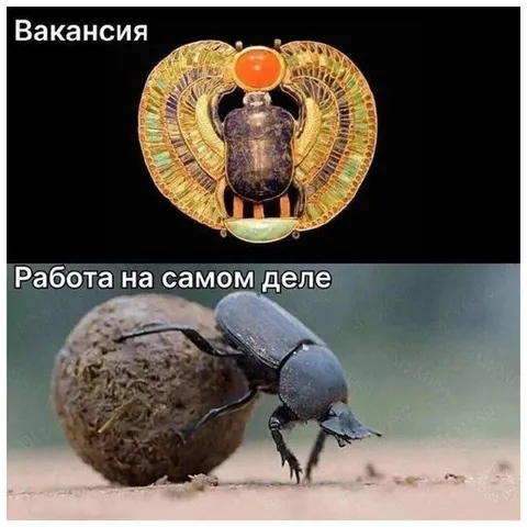 Вакансия и настоящая работа