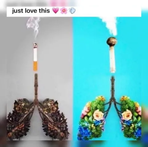 Just Love This Smoking Meme