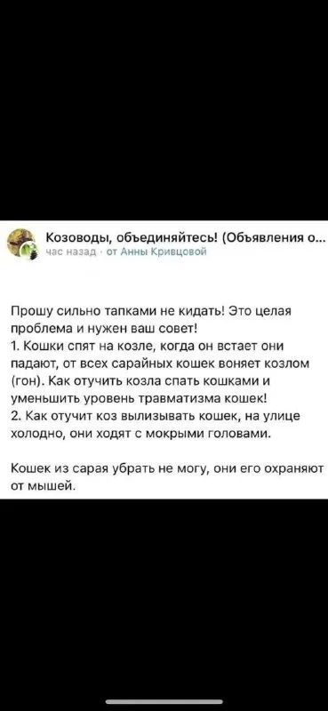 Козёл спит с кошками