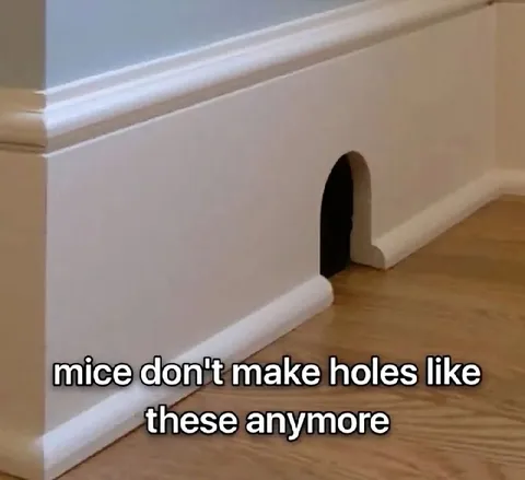 Mice Don't Make Holes Like These