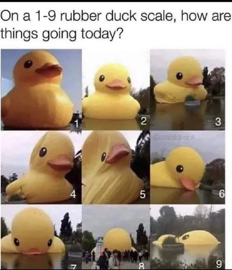 Rubber Duck Scale Check-In