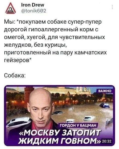 Собаке купили дорогой корм