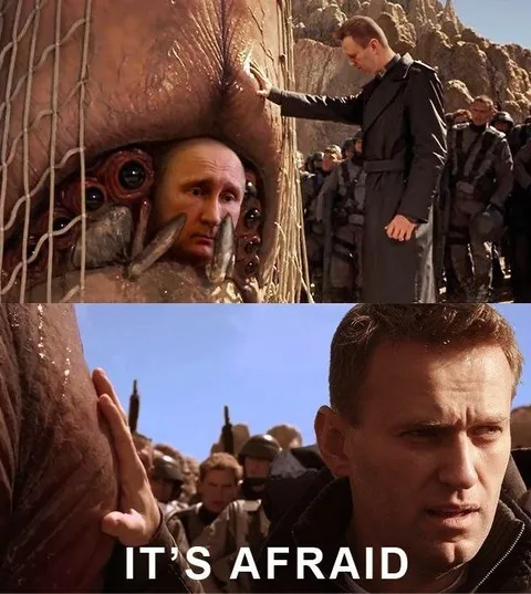 It's Afraid Brain Bug