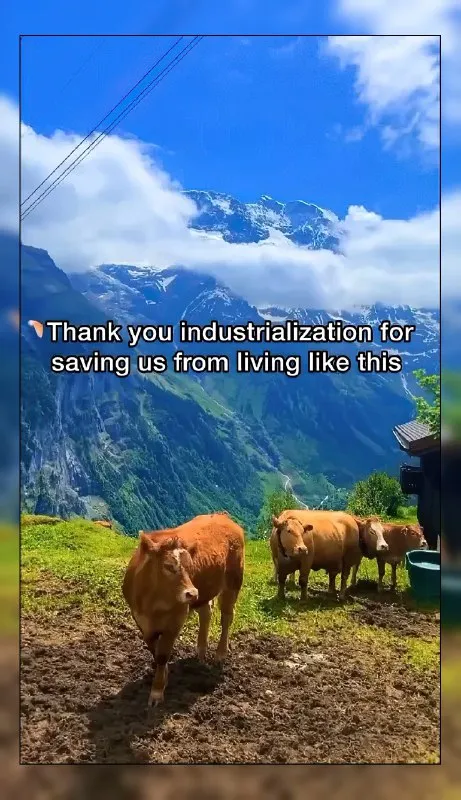 Thank You Industrialization