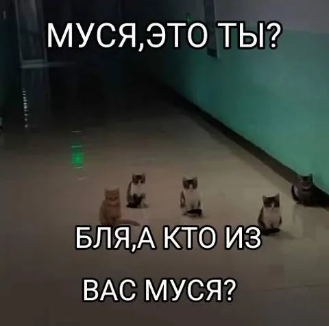 Муся, это ты?