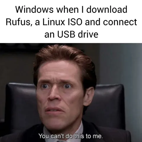 Windows Meets Linux USB